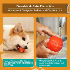 Exciting Interactive Dog Ball Toy -