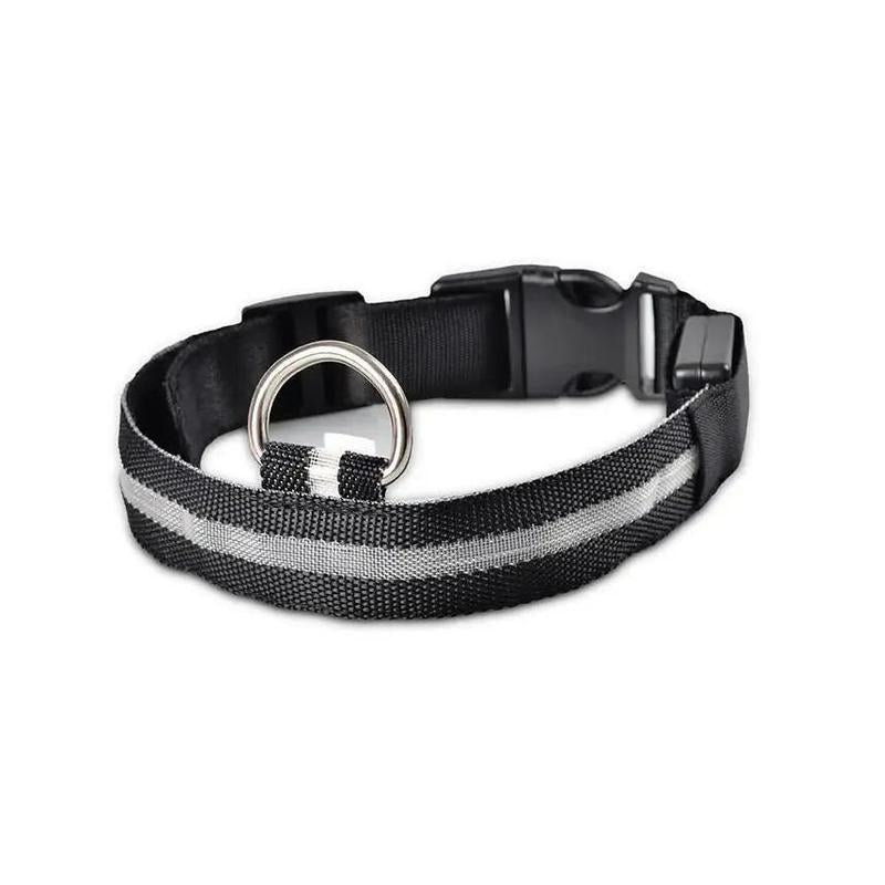 LED Pet Dog Collar for Night Safety, Nylon Leash with Glow-In-The-Dark Feature