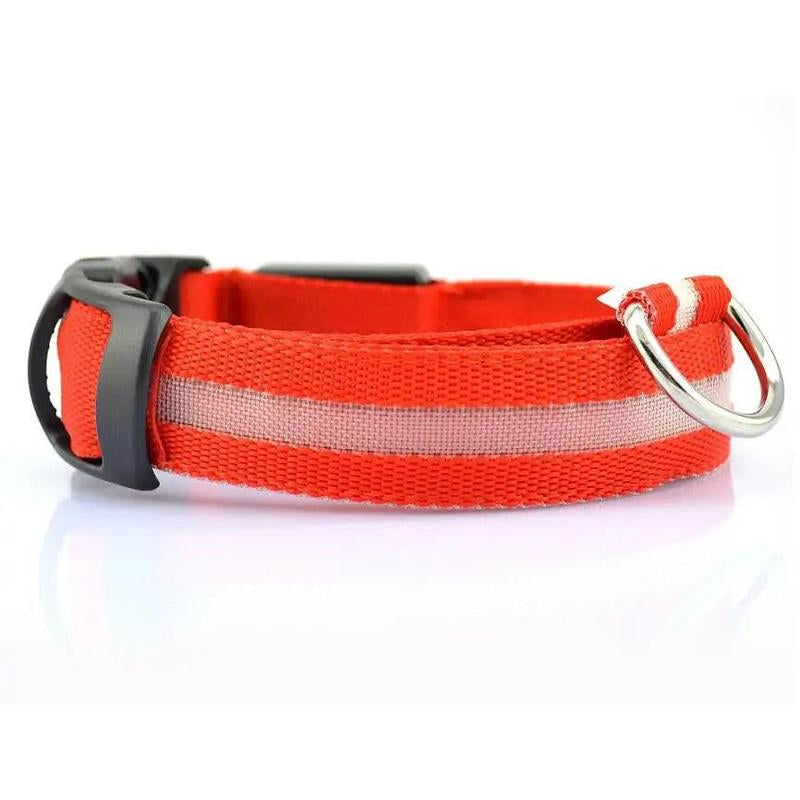 LED Pet Dog Collar for Night Safety, Nylon Leash with Glow-In-The-Dark Feature
