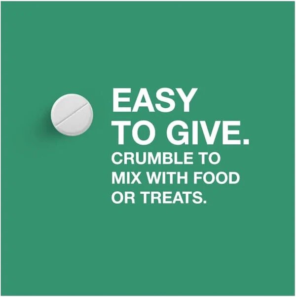 Tapeworm Dewormer (Praziquantel Tablets) for Cats and Kittens 6 Weeks and Older, 3-Count