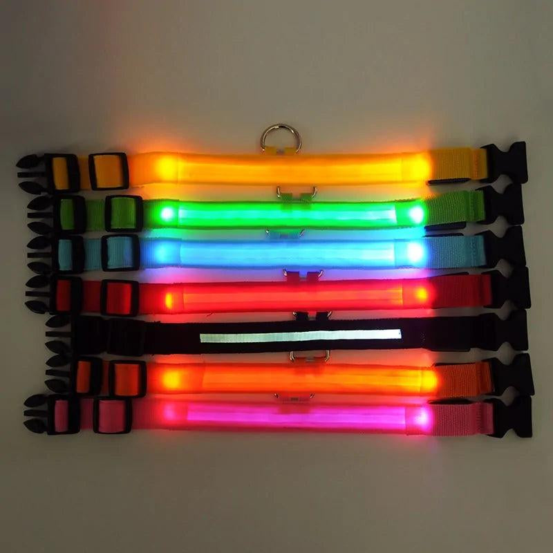 LED Pet Dog Collar for Night Safety, Nylon Leash with Glow-In-The-Dark Feature