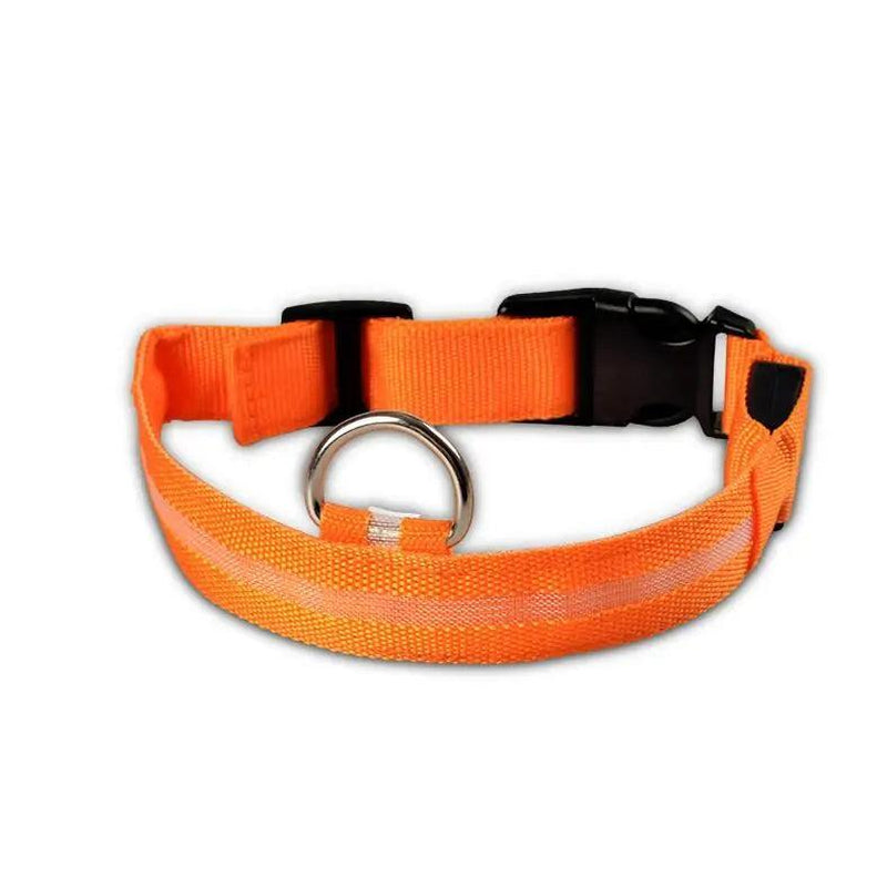LED Pet Dog Collar for Night Safety, Nylon Leash with Glow-In-The-Dark Feature