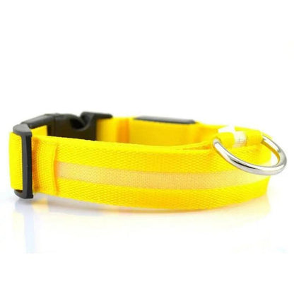 LED Pet Dog Collar for Night Safety, Nylon Leash with Glow-In-The-Dark Feature