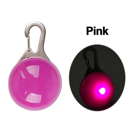 LED Pet Dog Collar for Night Safety, Nylon Leash with Glow-In-The-Dark Feature