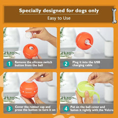 Exciting Interactive Dog Ball Toy -