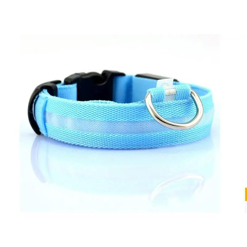 LED Pet Dog Collar for Night Safety, Nylon Leash with Glow-In-The-Dark Feature