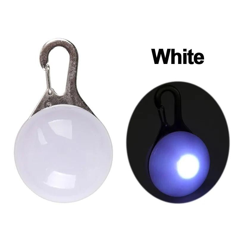 LED Pet Dog Collar for Night Safety, Nylon Leash with Glow-In-The-Dark Feature
