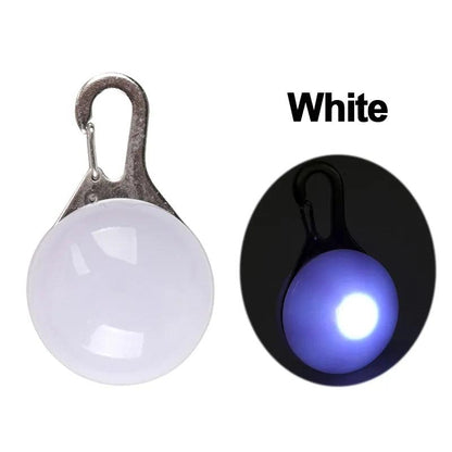 LED Pet Dog Collar for Night Safety, Nylon Leash with Glow-In-The-Dark Feature