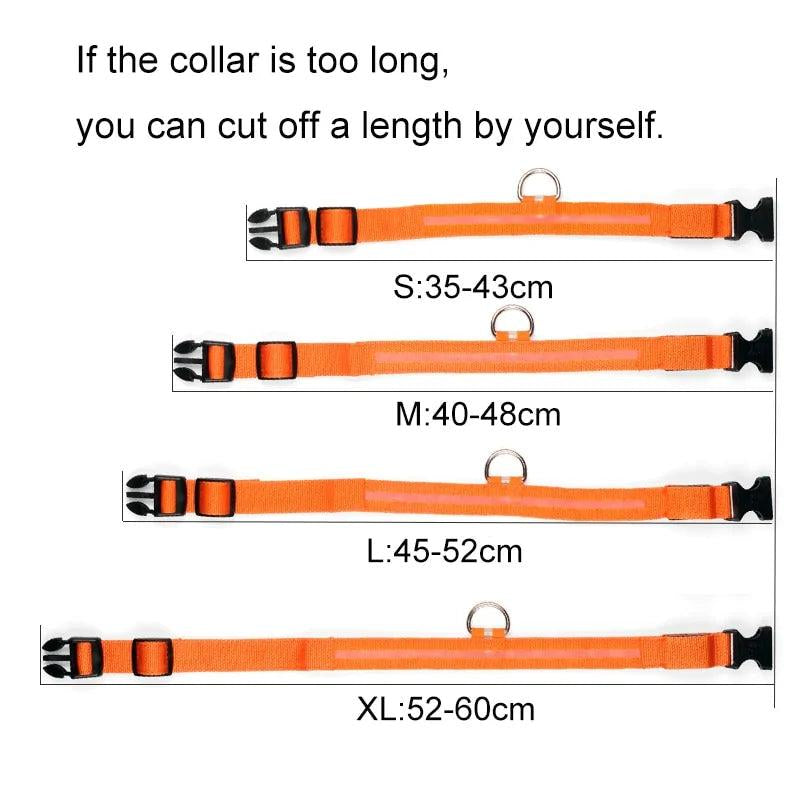 LED Pet Dog Collar for Night Safety, Nylon Leash with Glow-In-The-Dark Feature
