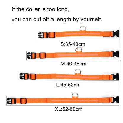 LED Pet Dog Collar for Night Safety, Nylon Leash with Glow-In-The-Dark Feature