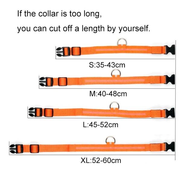 LED Pet Dog Collar for Night Safety, Nylon Leash with Glow-In-The-Dark Feature