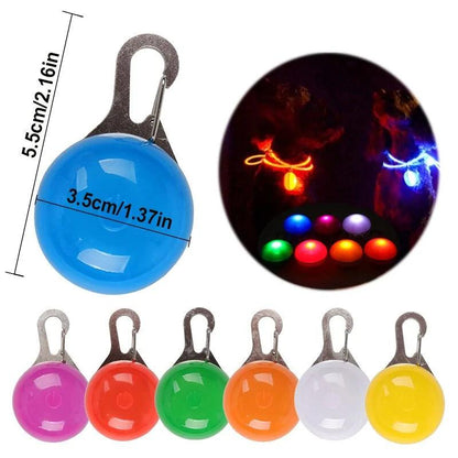 LED Pet Dog Collar for Night Safety, Nylon Leash with Glow-In-The-Dark Feature