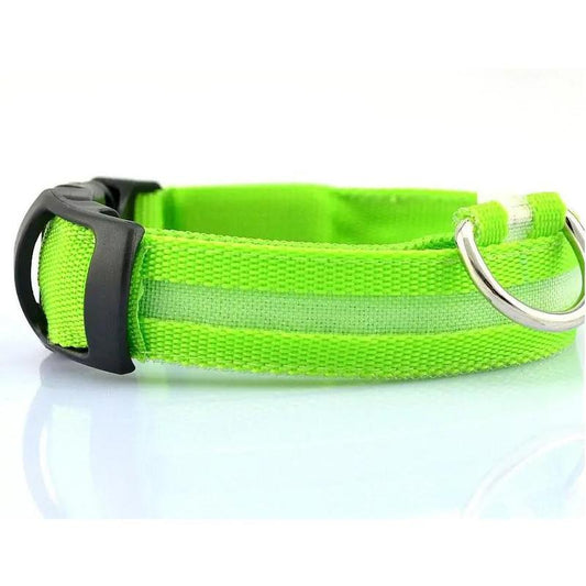 LED Pet Dog Collar for Night Safety, Nylon Leash with Glow-In-The-Dark Feature