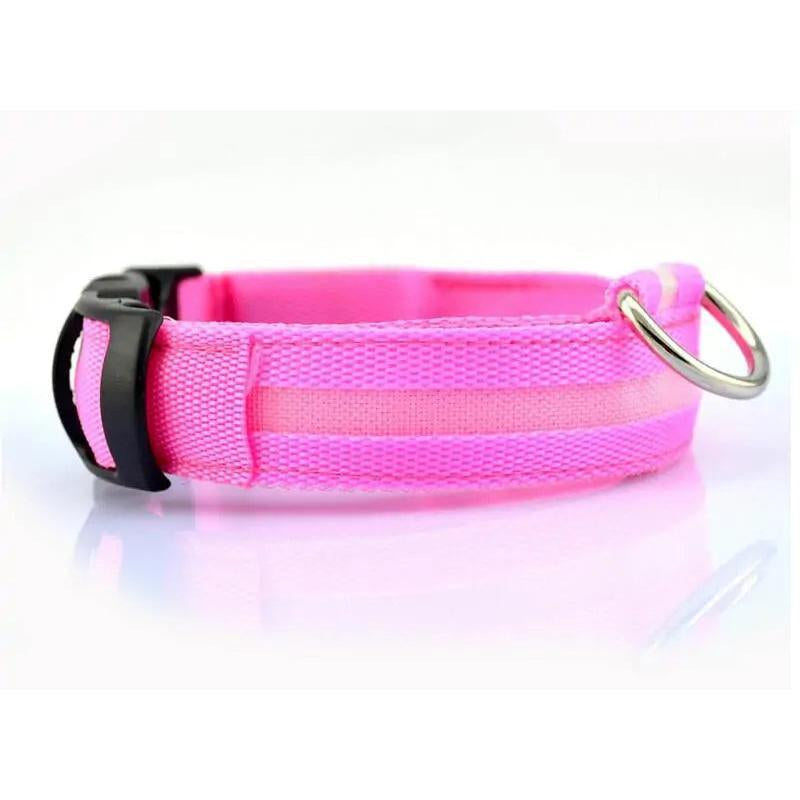 LED Pet Dog Collar for Night Safety, Nylon Leash with Glow-In-The-Dark Feature