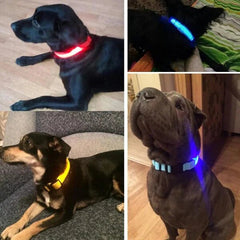 LED Pet Dog Collar for Night Safety, Nylon Leash with Glow-In-The-Dark Feature